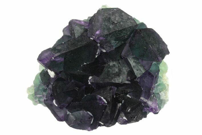 Purple-Green Octahedral Fluorite Crystal Cluster - Fluorescent! #132775